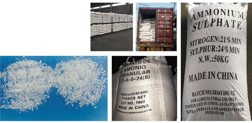 AMMONIUM SULPHATE